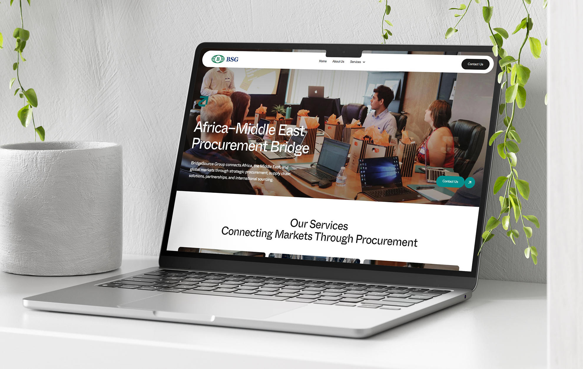 BridgeSource Website 1